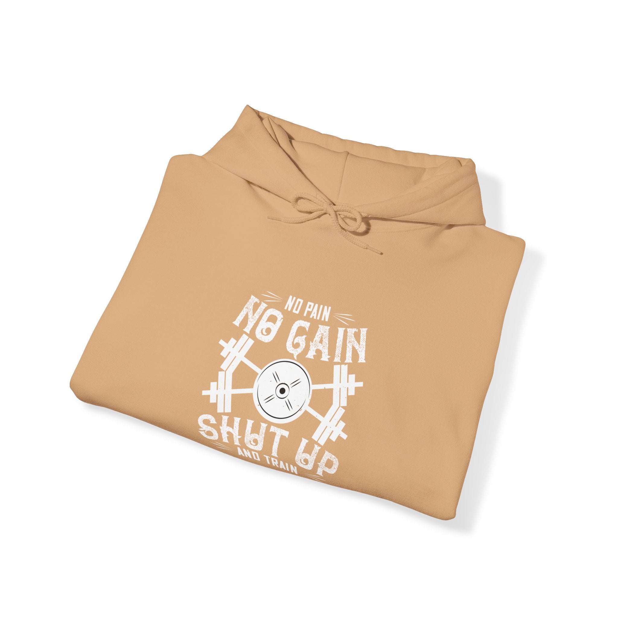 "No Pain No Gain Shut up And Train" Unisex Heavy Blend™ Hooded Sweatshirt