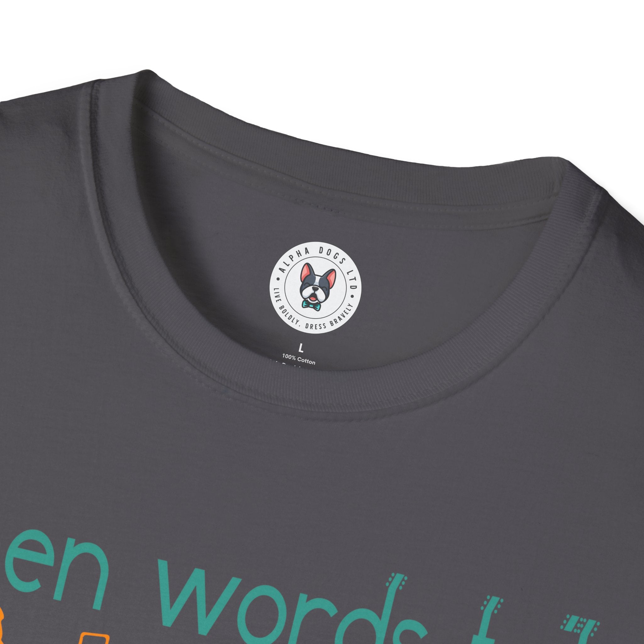 "When Words Fail Music Speaks" Unisex Soft style T-Shirt