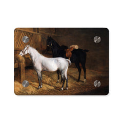 "A GREY PONY AND A BLACK CHARGER IN STABLE" Acrylic Wall Art Panels