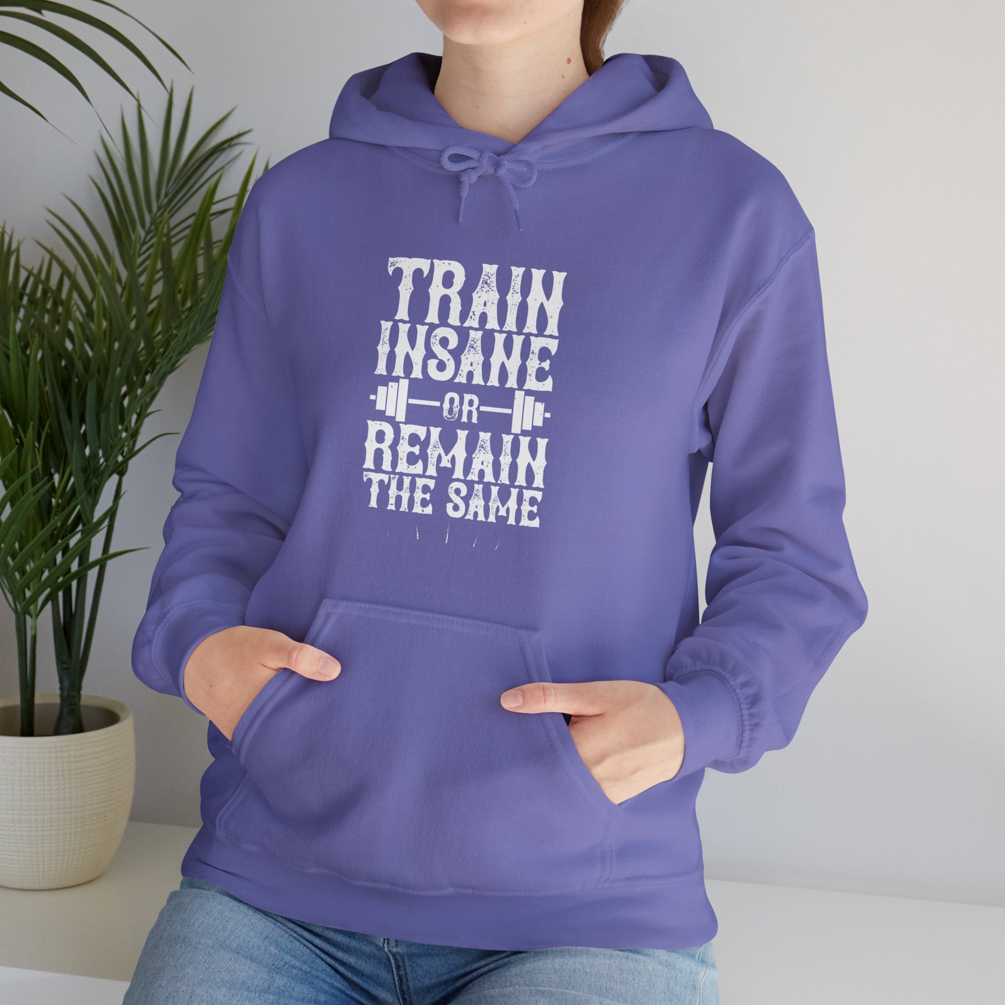 "Train insane or remain the same" Unisex Heavy Blend™ Hooded Sweatshirt