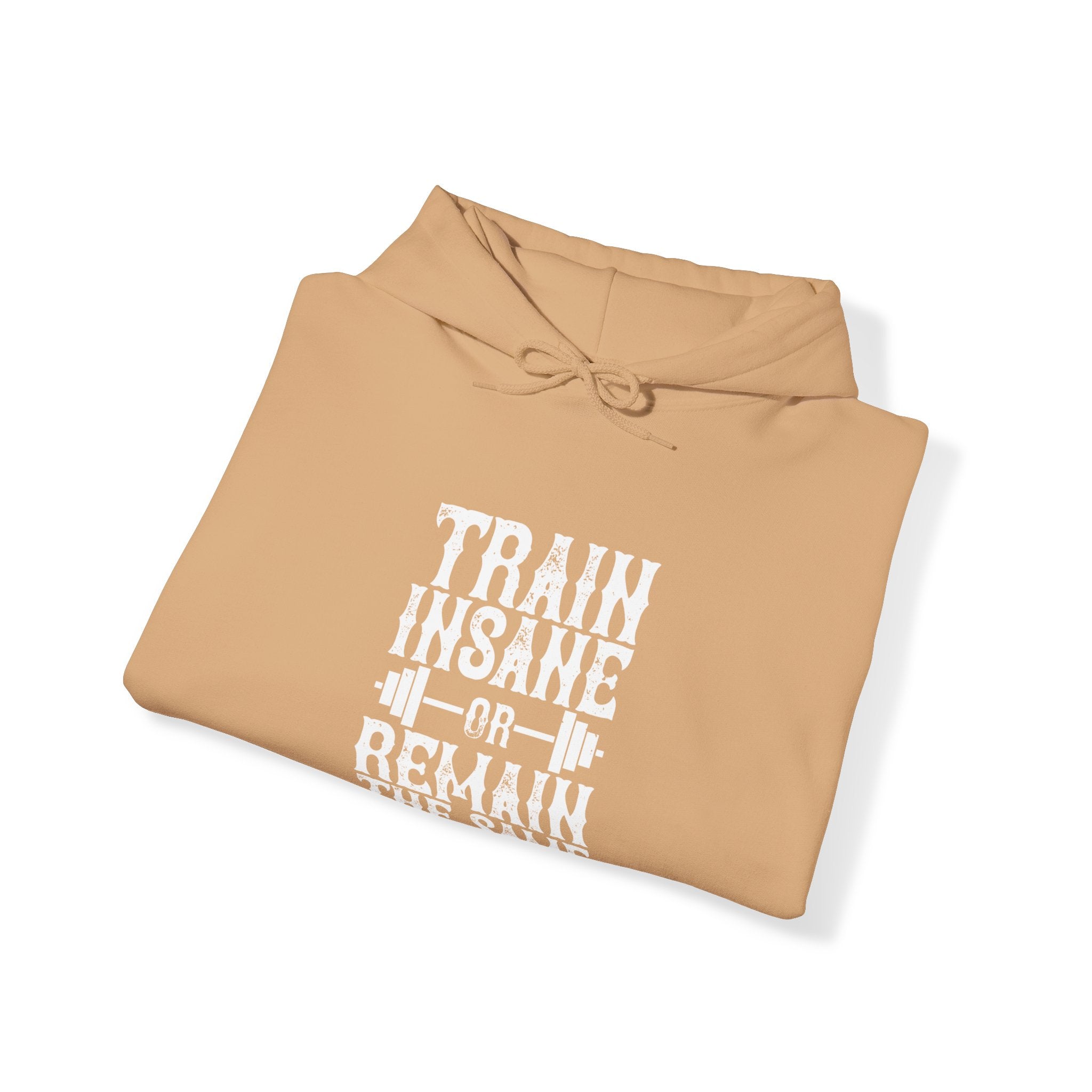 "Train insane or remain the same" Unisex Heavy Blend™ Hooded Sweatshirt