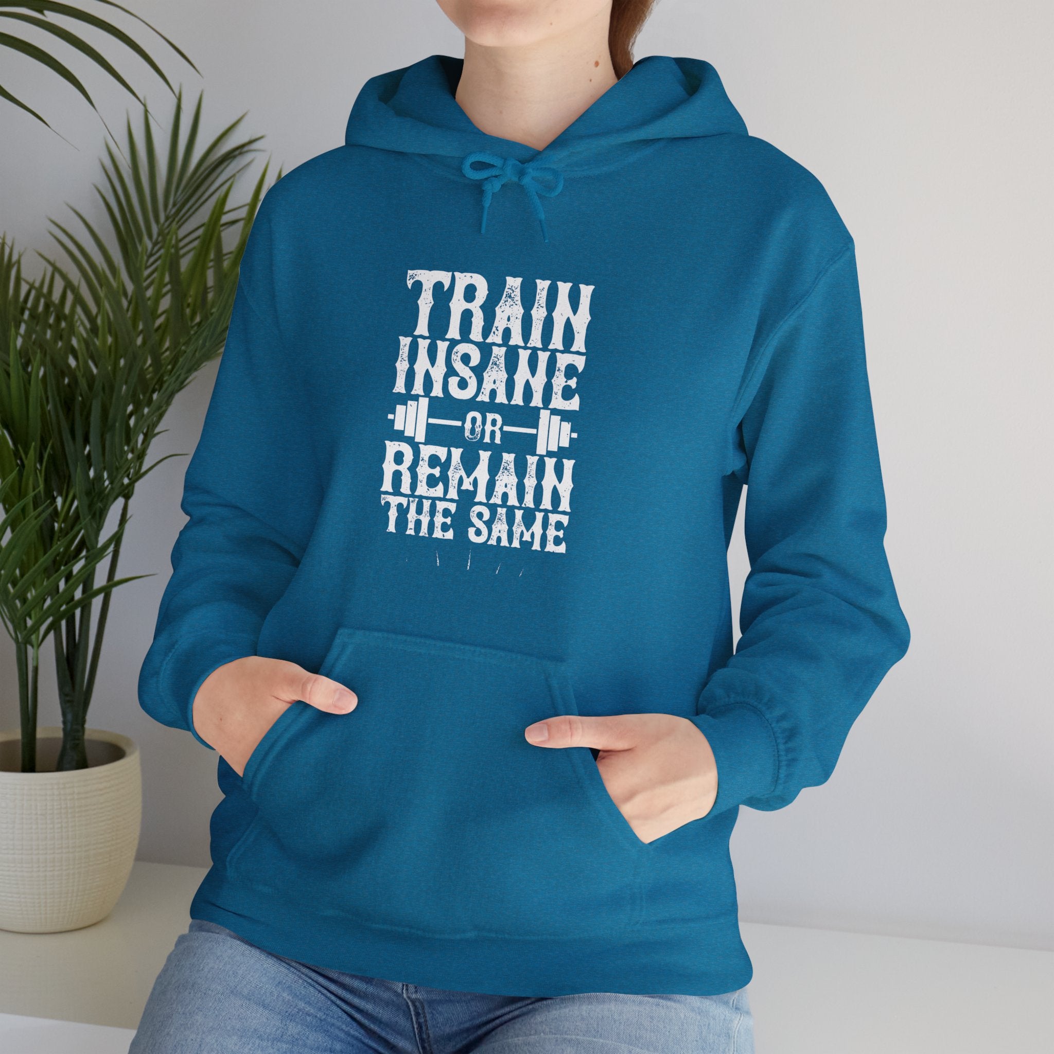 "Train insane or remain the same" Unisex Heavy Blend™ Hooded Sweatshirt