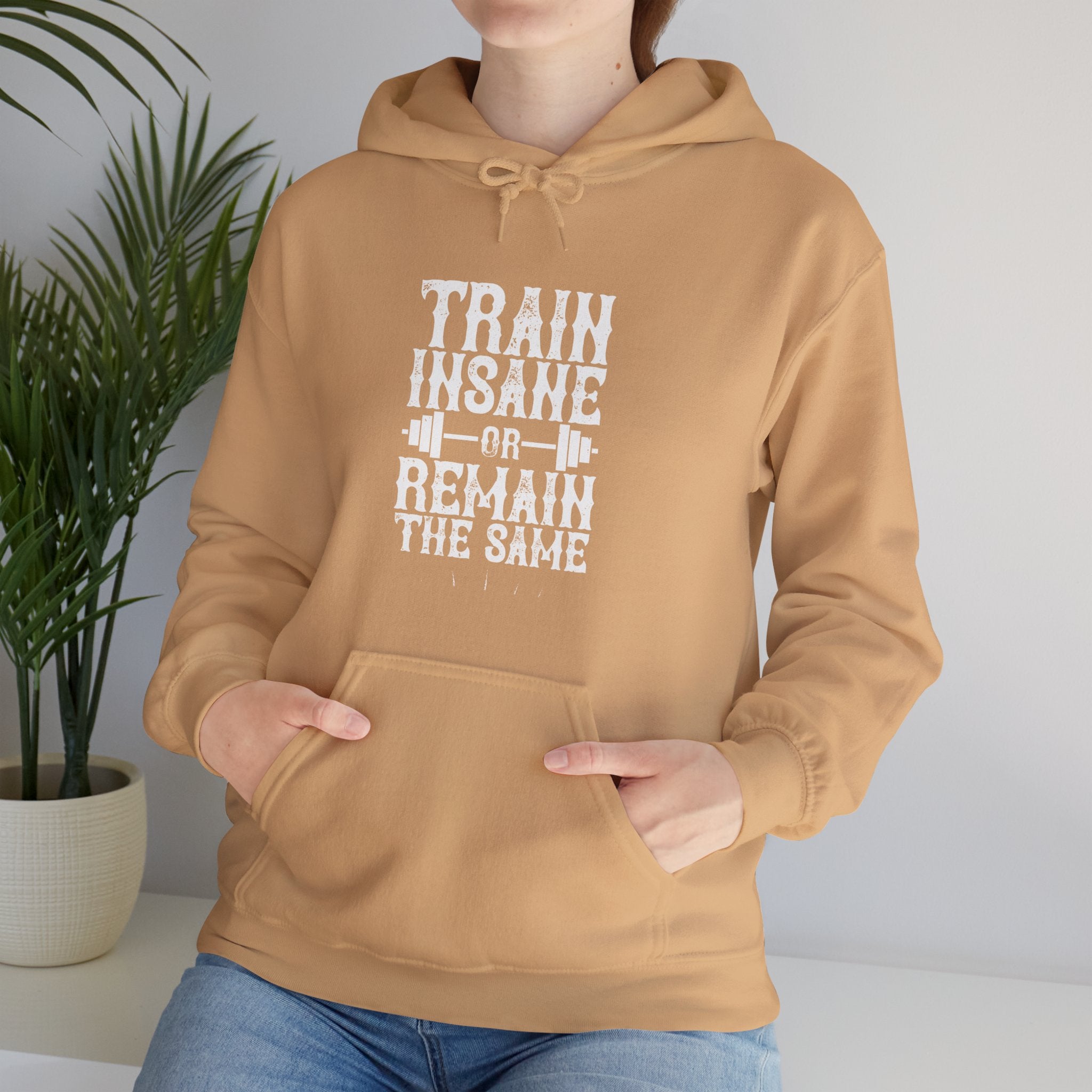 "Train insane or remain the same" Unisex Heavy Blend™ Hooded Sweatshirt