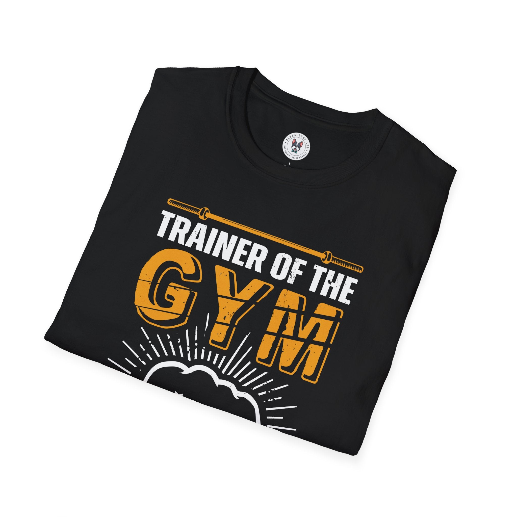 "Trainer Of The Gym TrainOr Die" Unisex Soft style T-Shirt