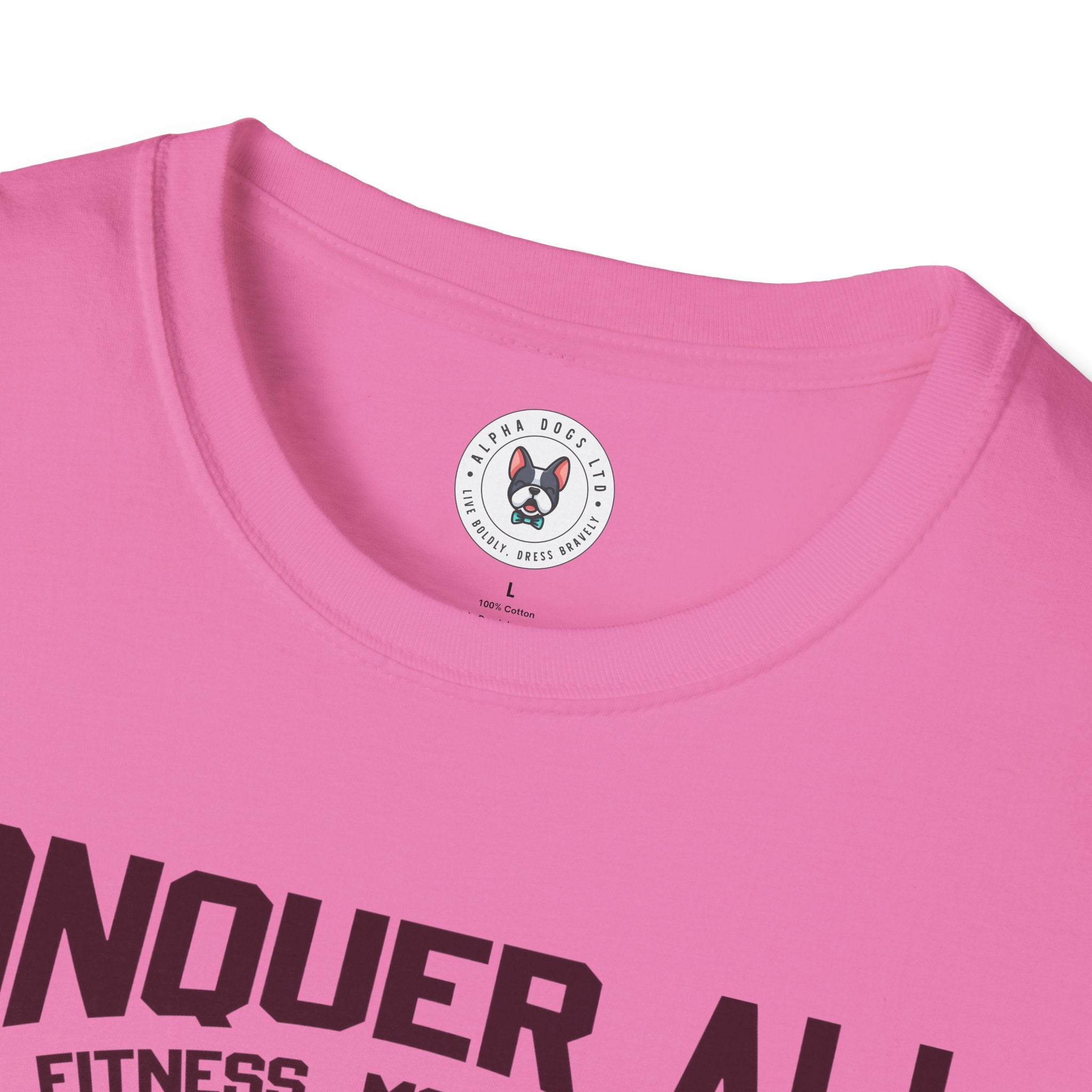 "Conquer All Be Stronger Everyday" Unisex Soft style T-Shirt