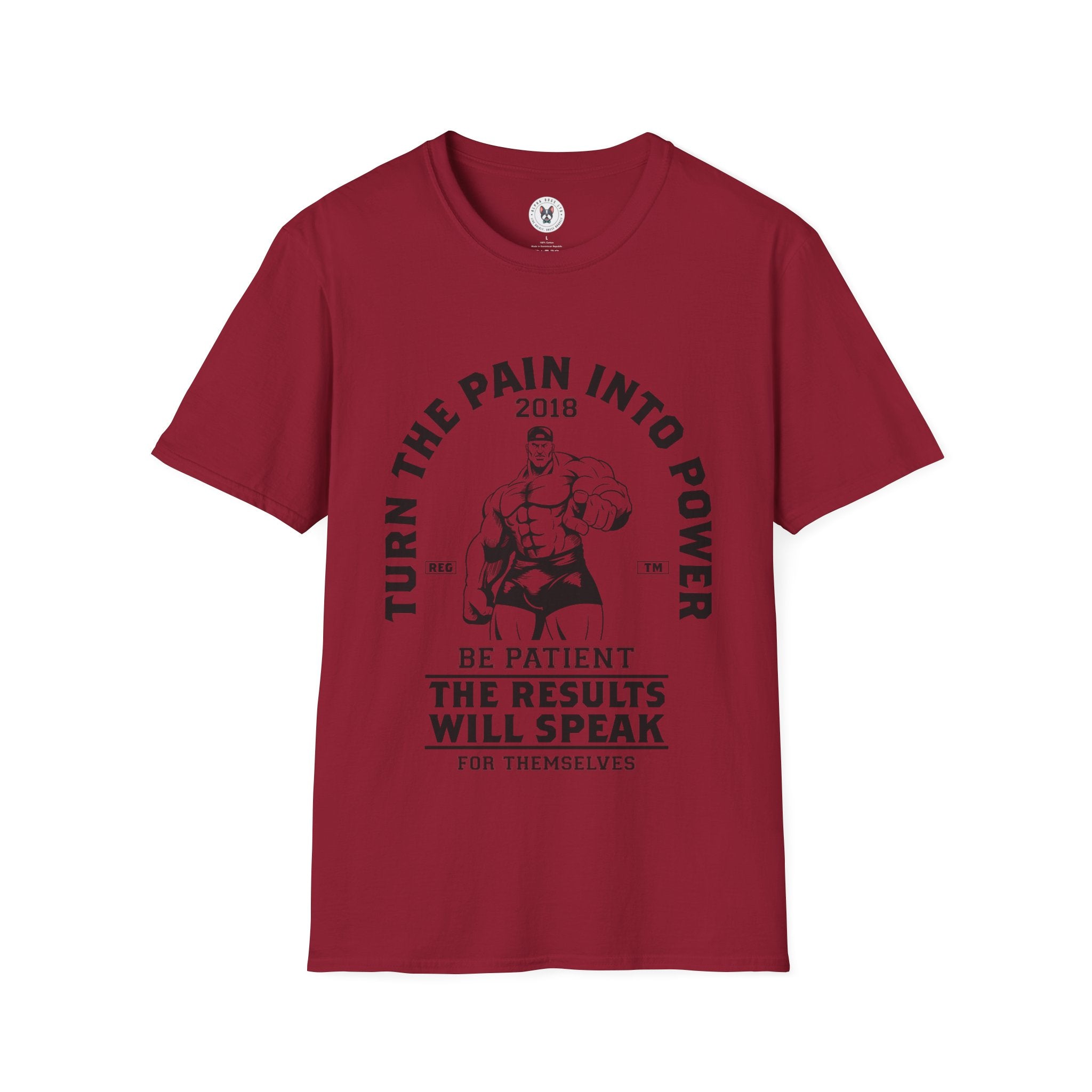 "Turn The Pain Into Power" Unisex Soft style T-Shirt