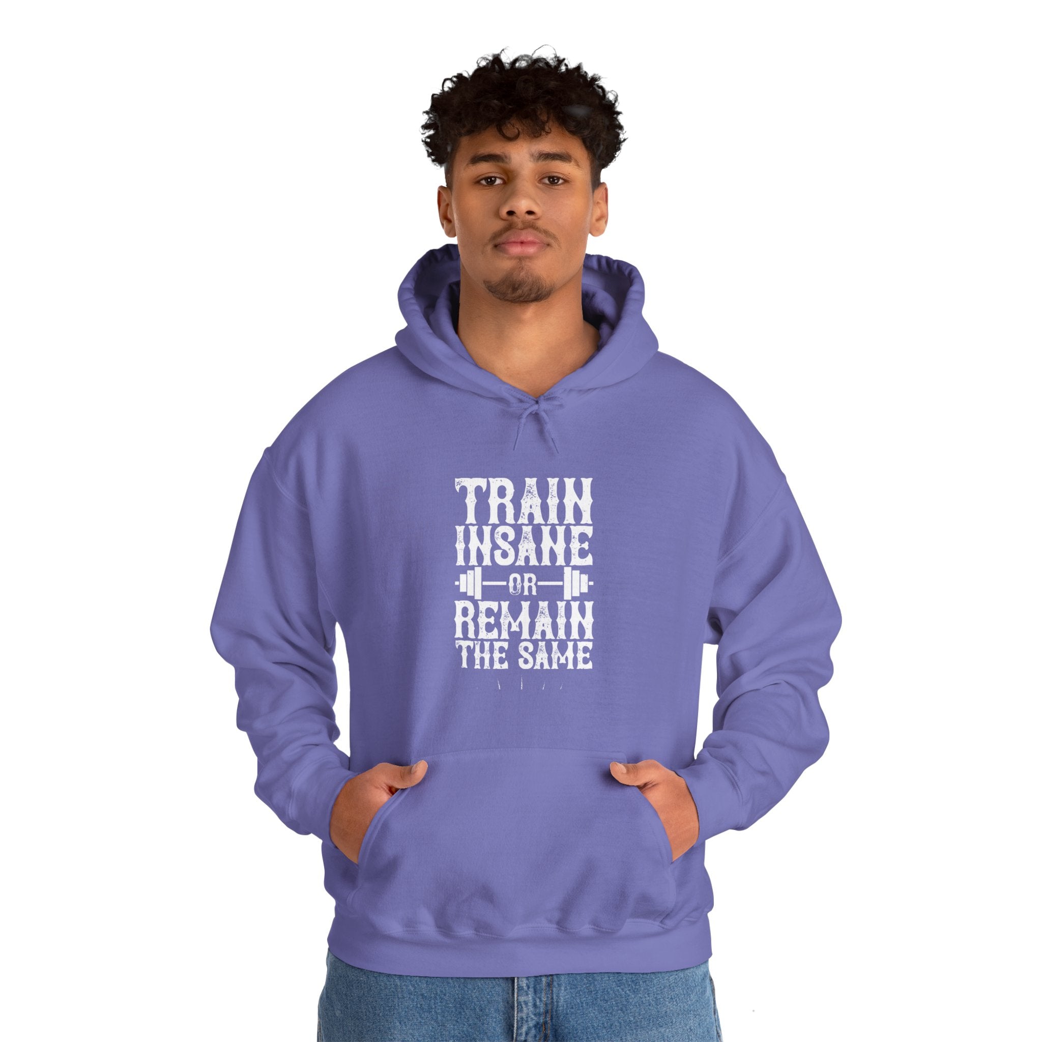 "Train insane or remain the same" Unisex Heavy Blend™ Hooded Sweatshirt