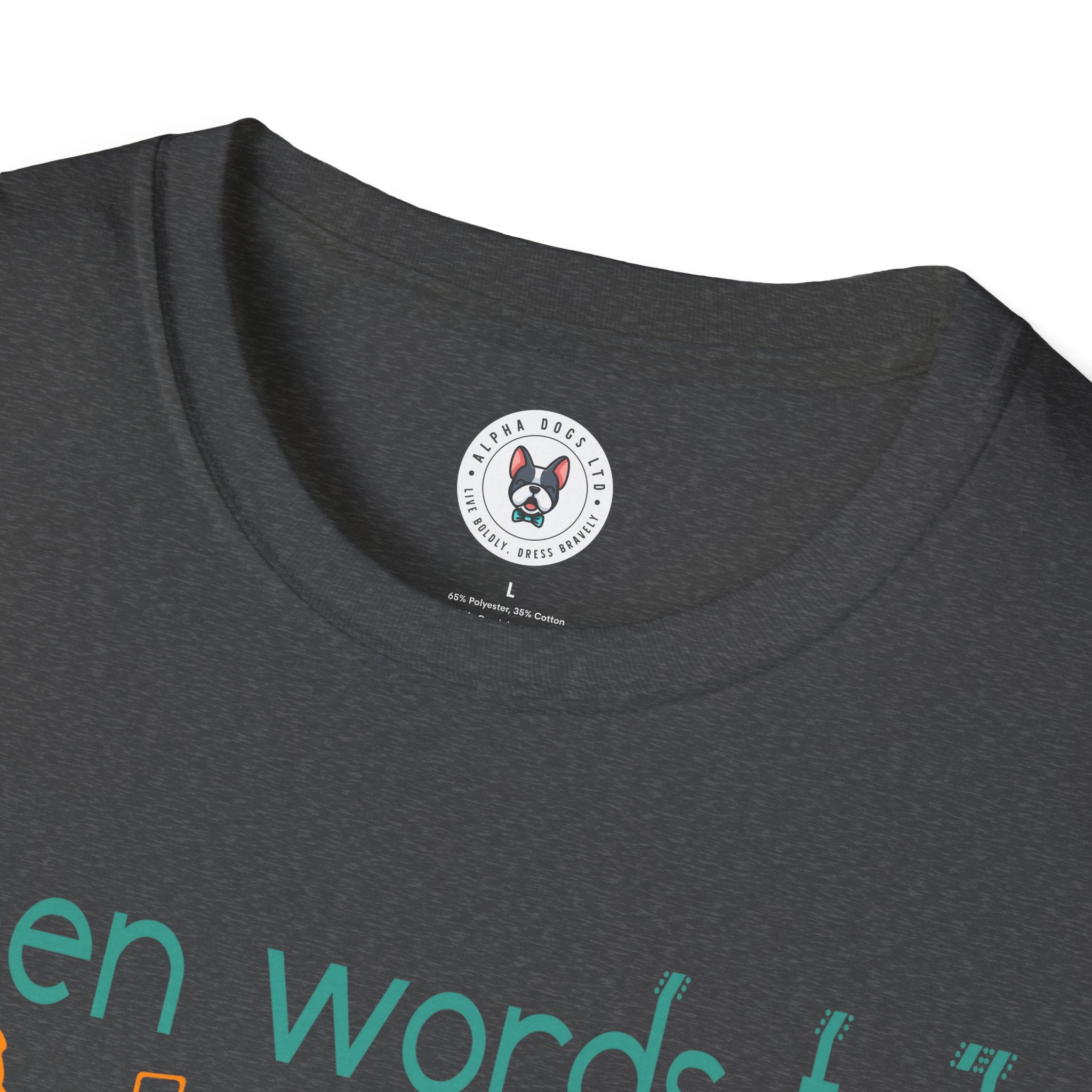 "When Words Fail Music Speaks" Unisex Soft style T-Shirt