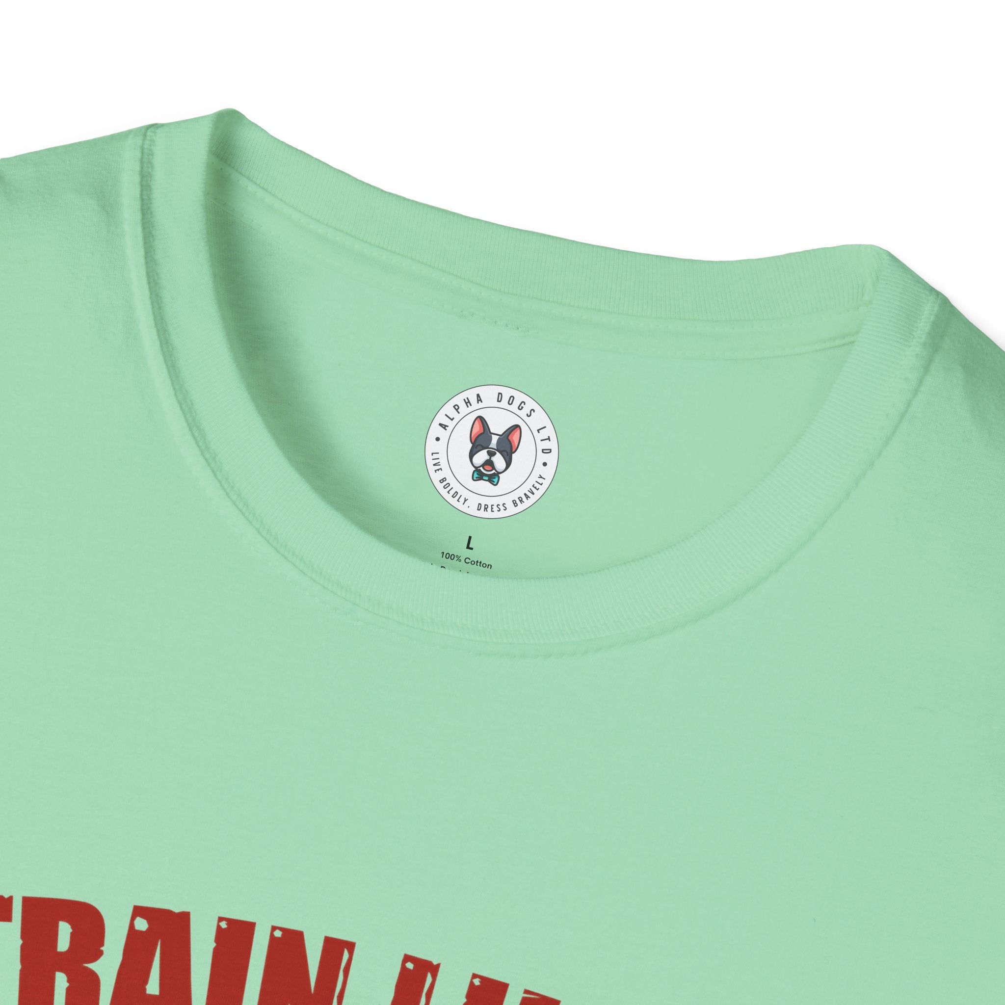 "Train Like A Champion" Unisex Soft style T-Shirt