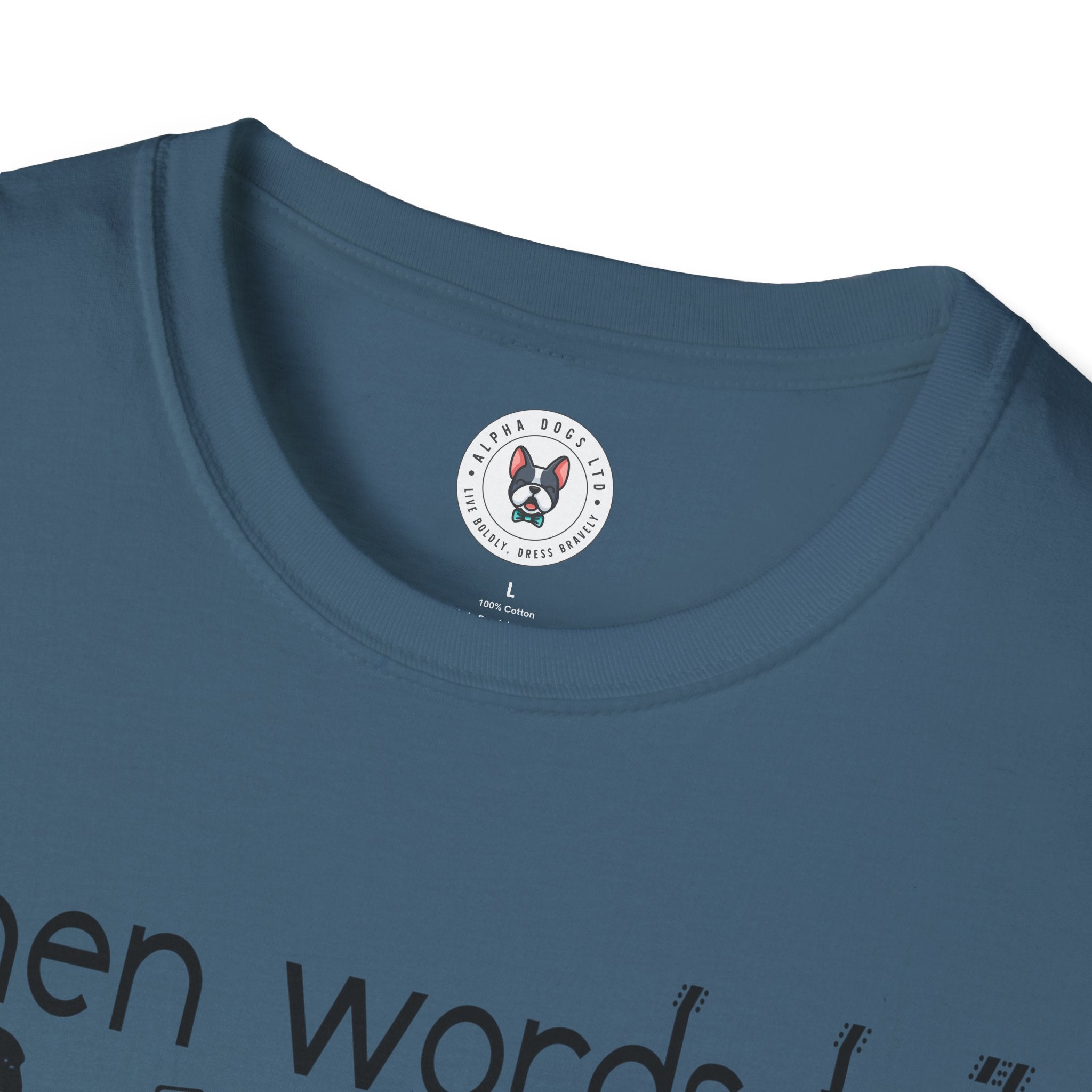 "When Words Fail Music Speaks" Unisex Soft style T-Shirt