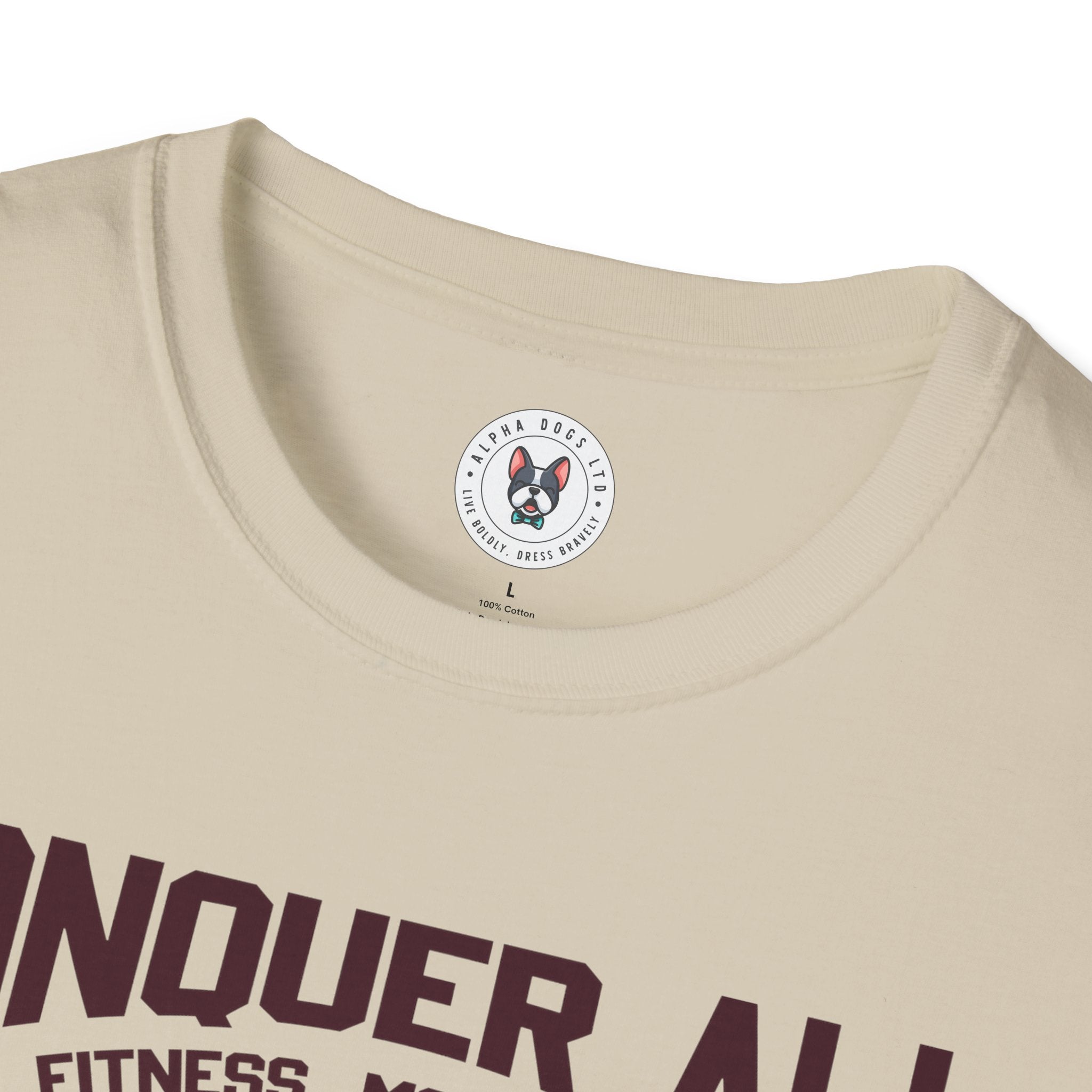 "Conquer All Be Stronger Everyday" Unisex Soft style T-Shirt