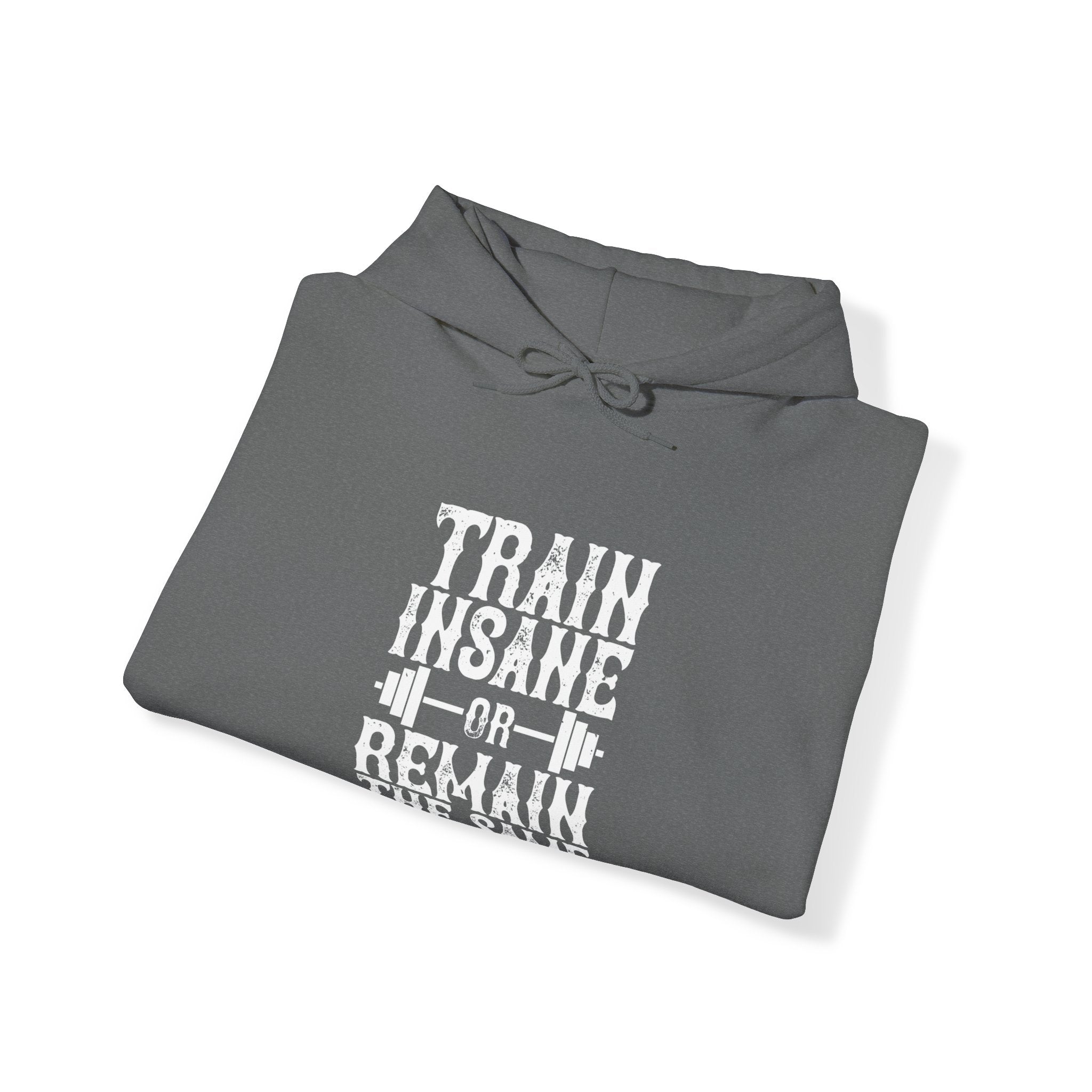 "Train insane or remain the same" Unisex Heavy Blend™ Hooded Sweatshirt