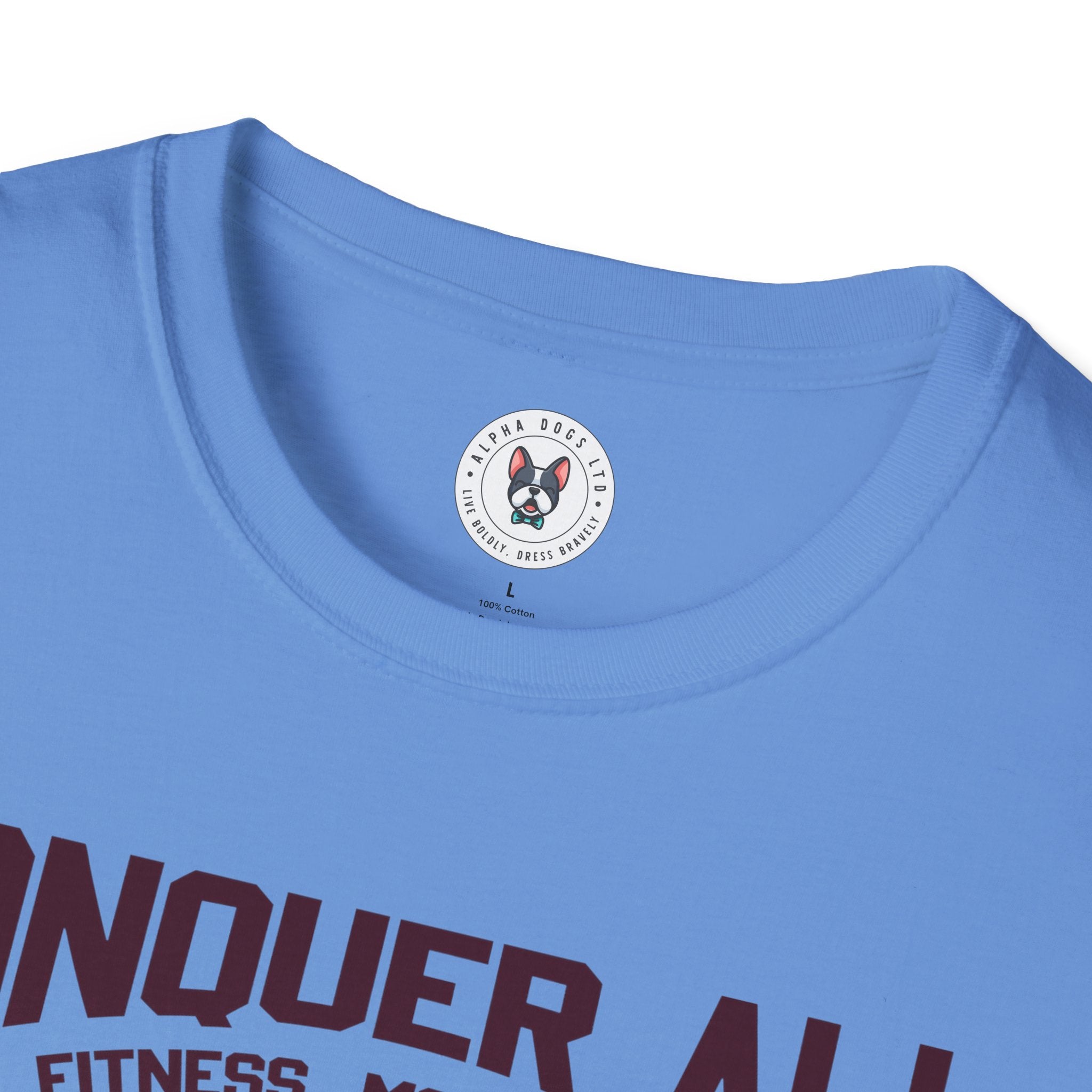 "Conquer All Be Stronger Everyday" Unisex Soft style T-Shirt