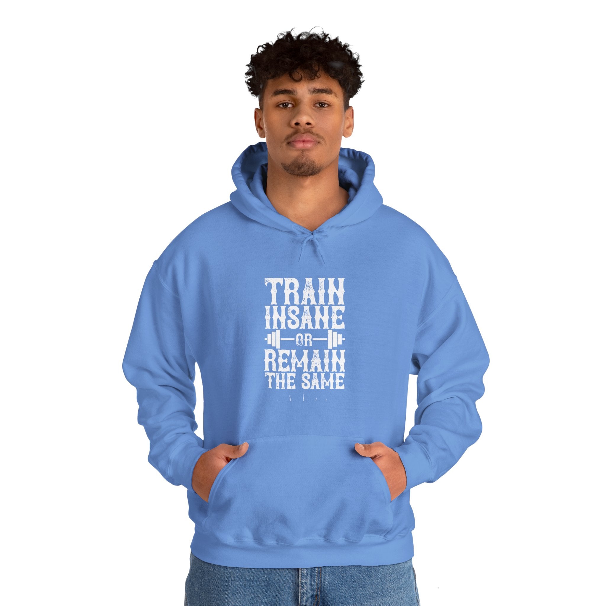 "Train insane or remain the same" Unisex Heavy Blend™ Hooded Sweatshirt