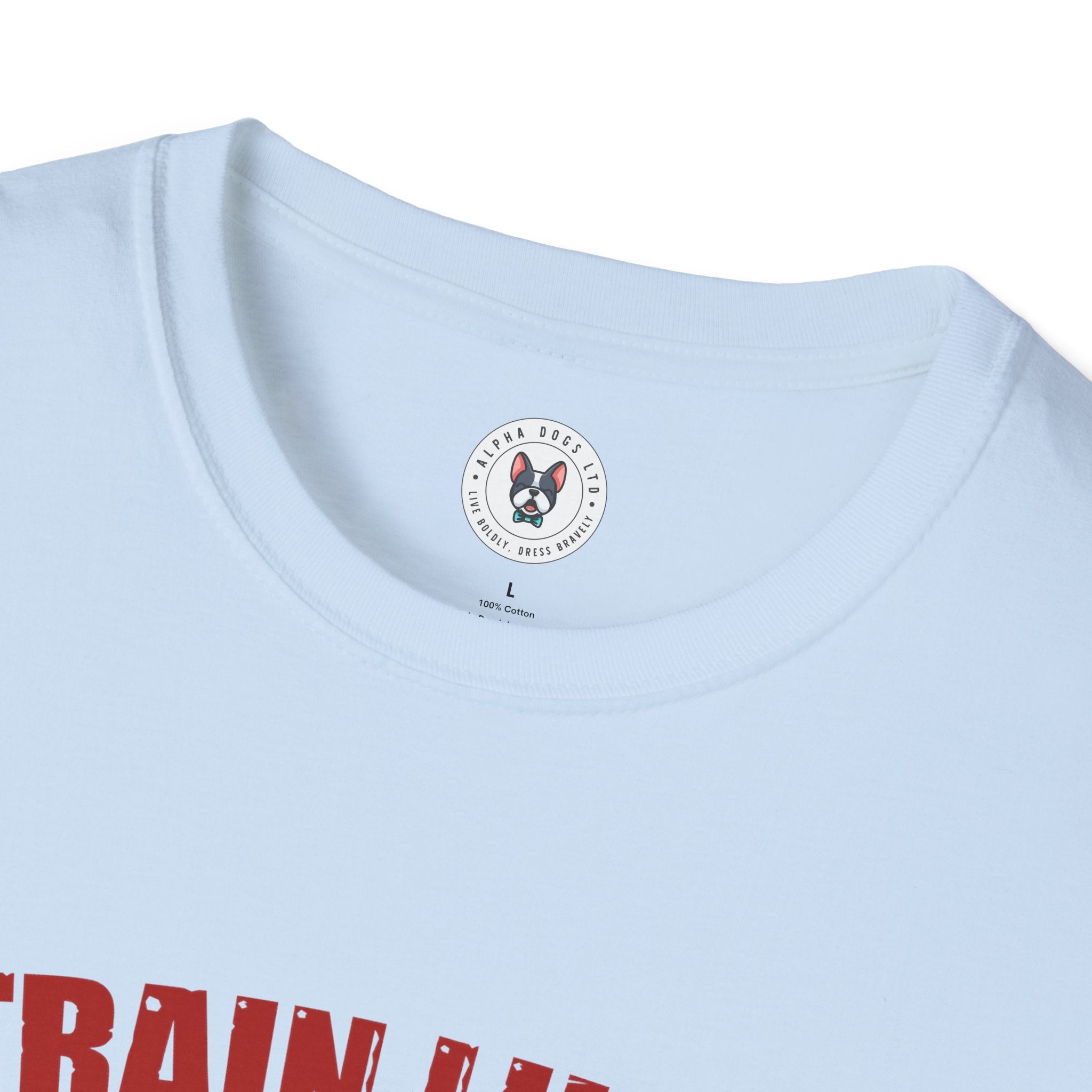 "Train Like A Champion" Unisex Soft style T-Shirt