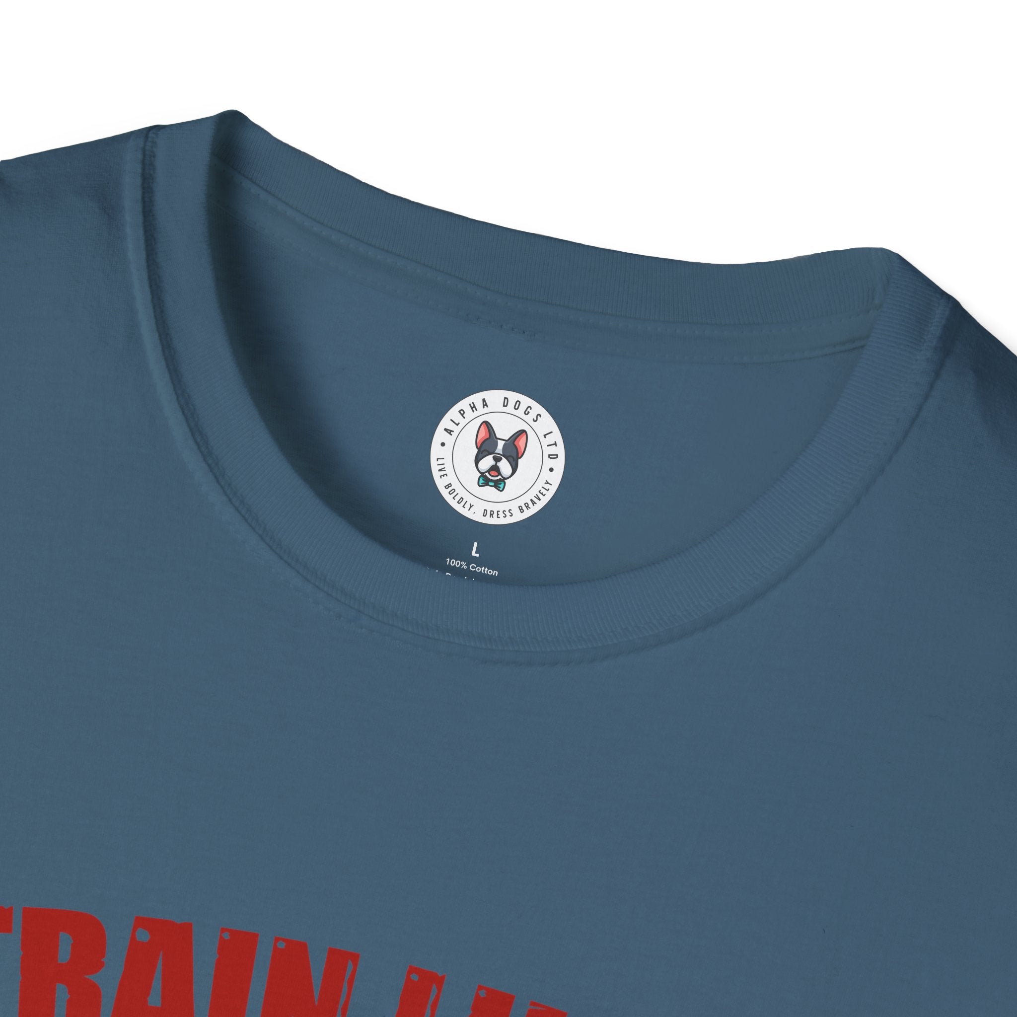 "Train Like A Champion" Unisex Soft style T-Shirt