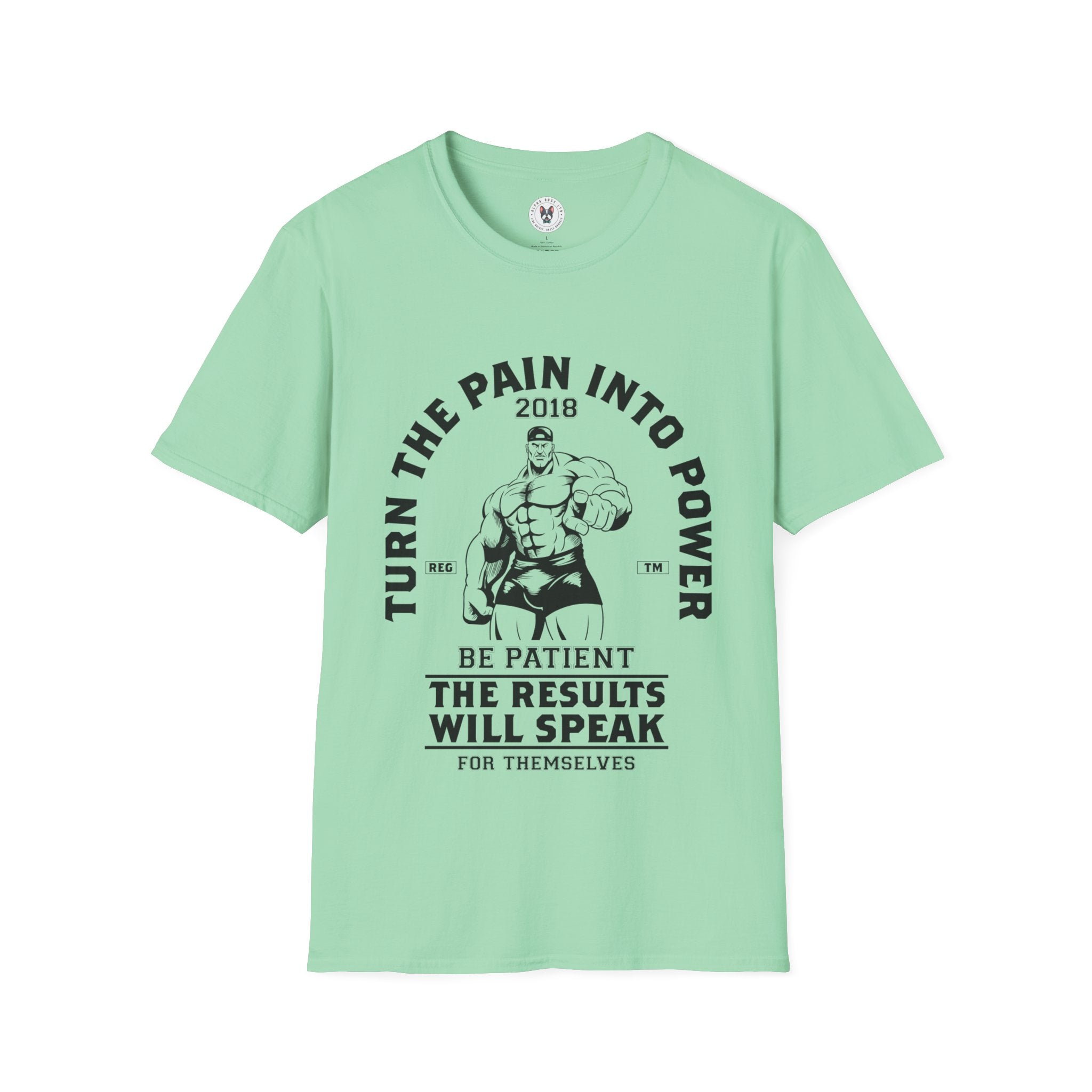 "Turn The Pain Into Power" Unisex Soft style T-Shirt