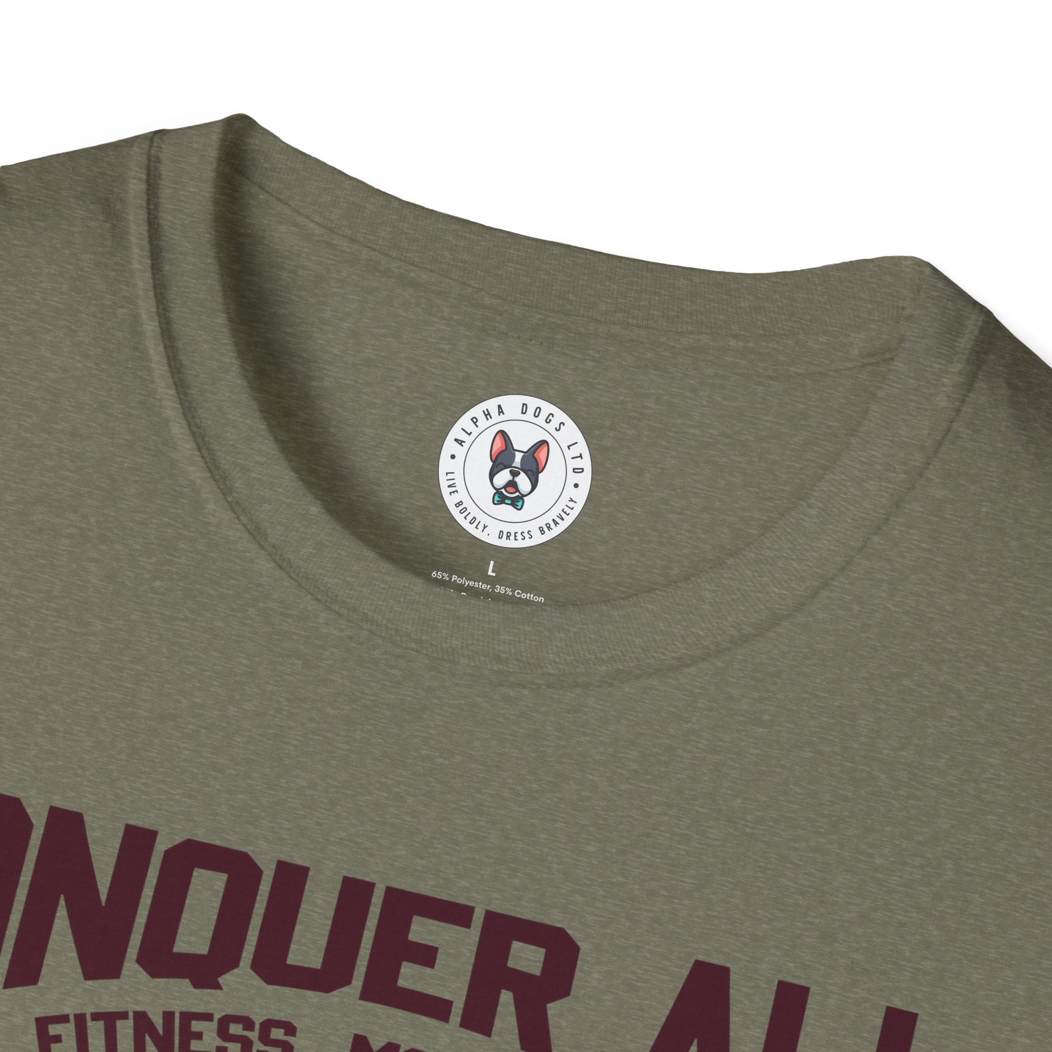 "Conquer All Be Stronger Everyday" Unisex Soft style T-Shirt