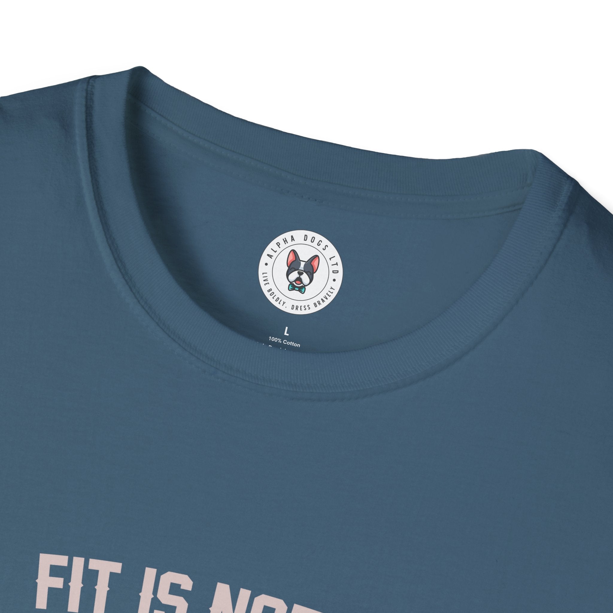 "Fit Is Not A Destination, Its A Way Of Life" Unisex Soft style T-Shirt