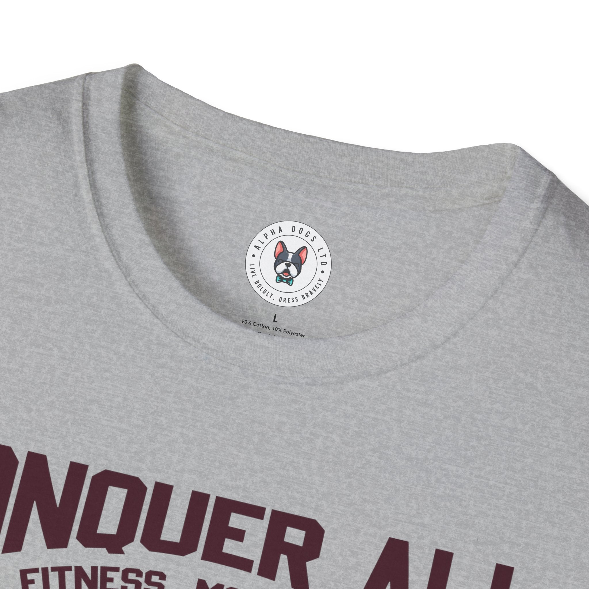 "Conquer All Be Stronger Everyday" Unisex Soft style T-Shirt