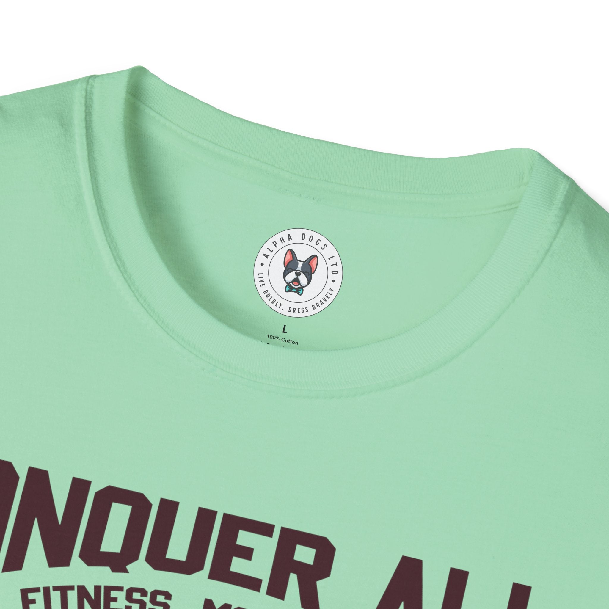 "Conquer All Be Stronger Everyday" Unisex Soft style T-Shirt