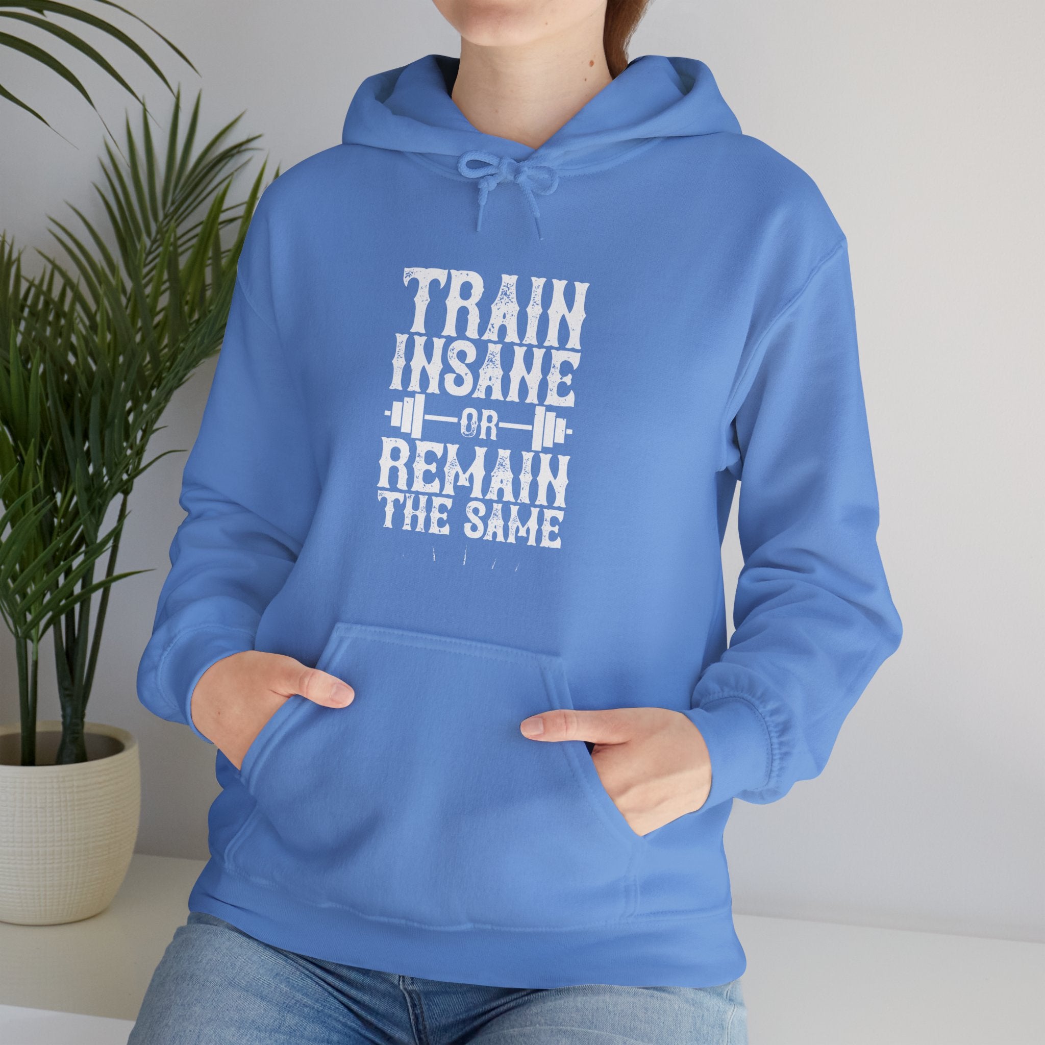 "Train insane or remain the same" Unisex Heavy Blend™ Hooded Sweatshirt