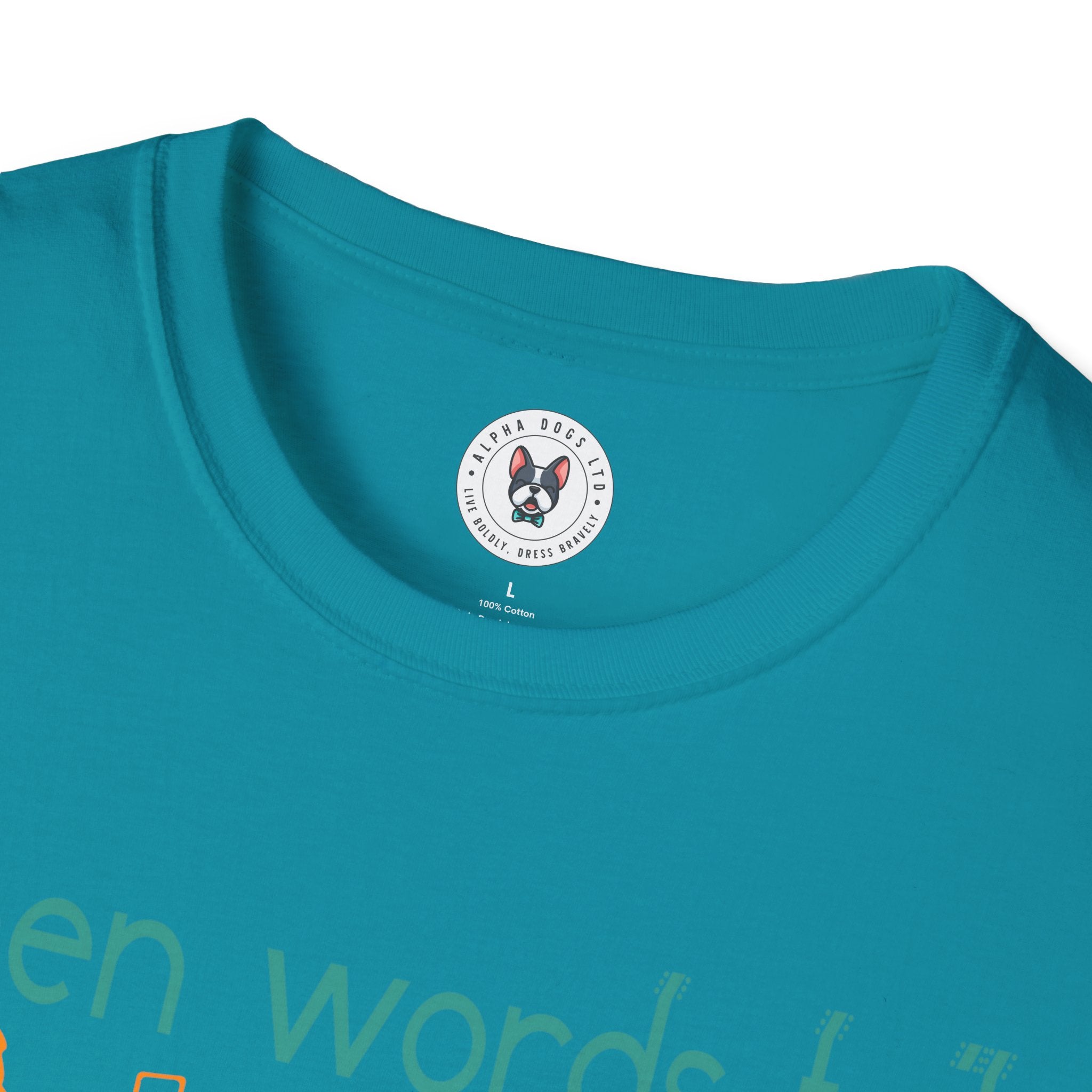 "When Words Fail Music Speaks" Unisex Soft style T-Shirt