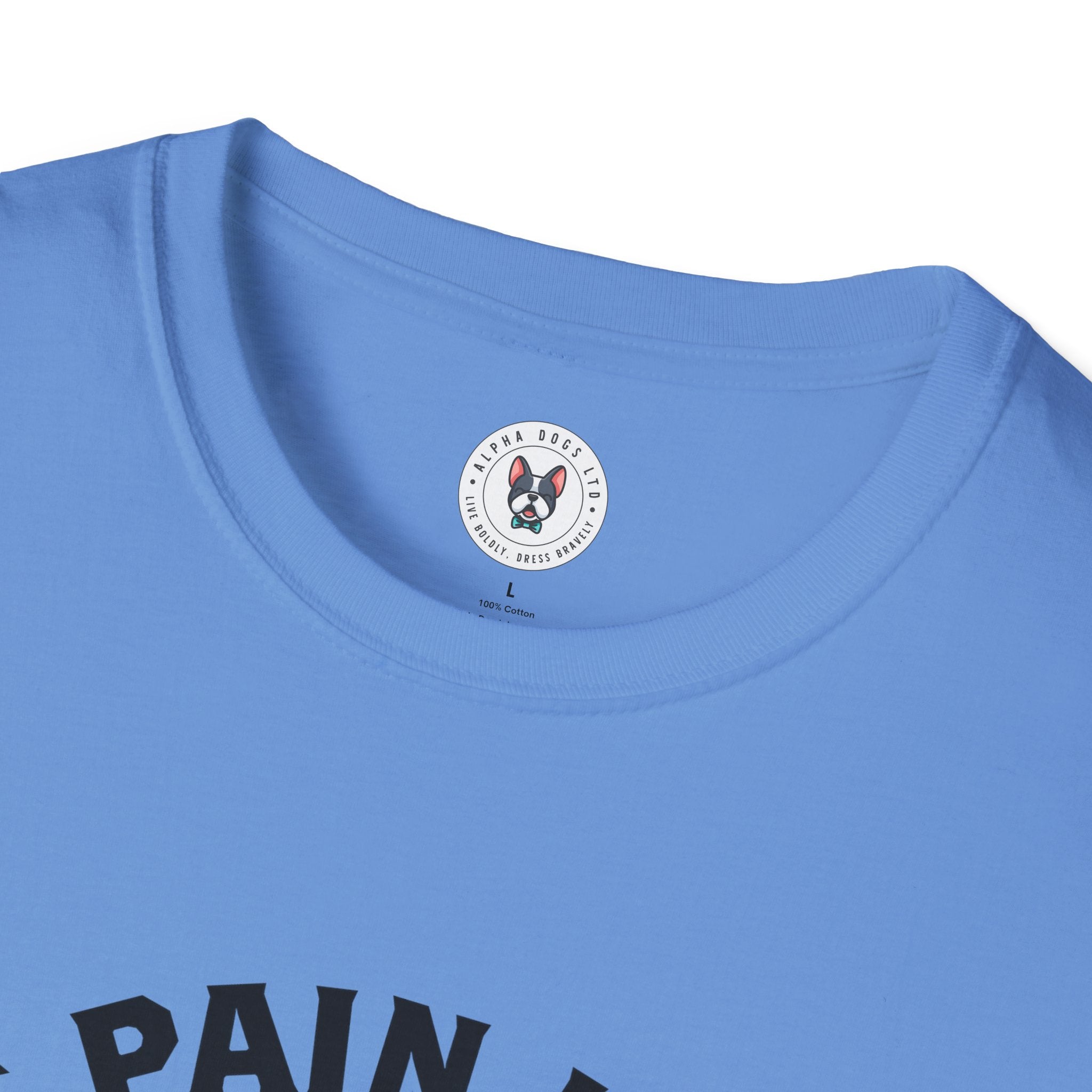 "Turn The Pain Into Power" Unisex Soft style T-Shirt