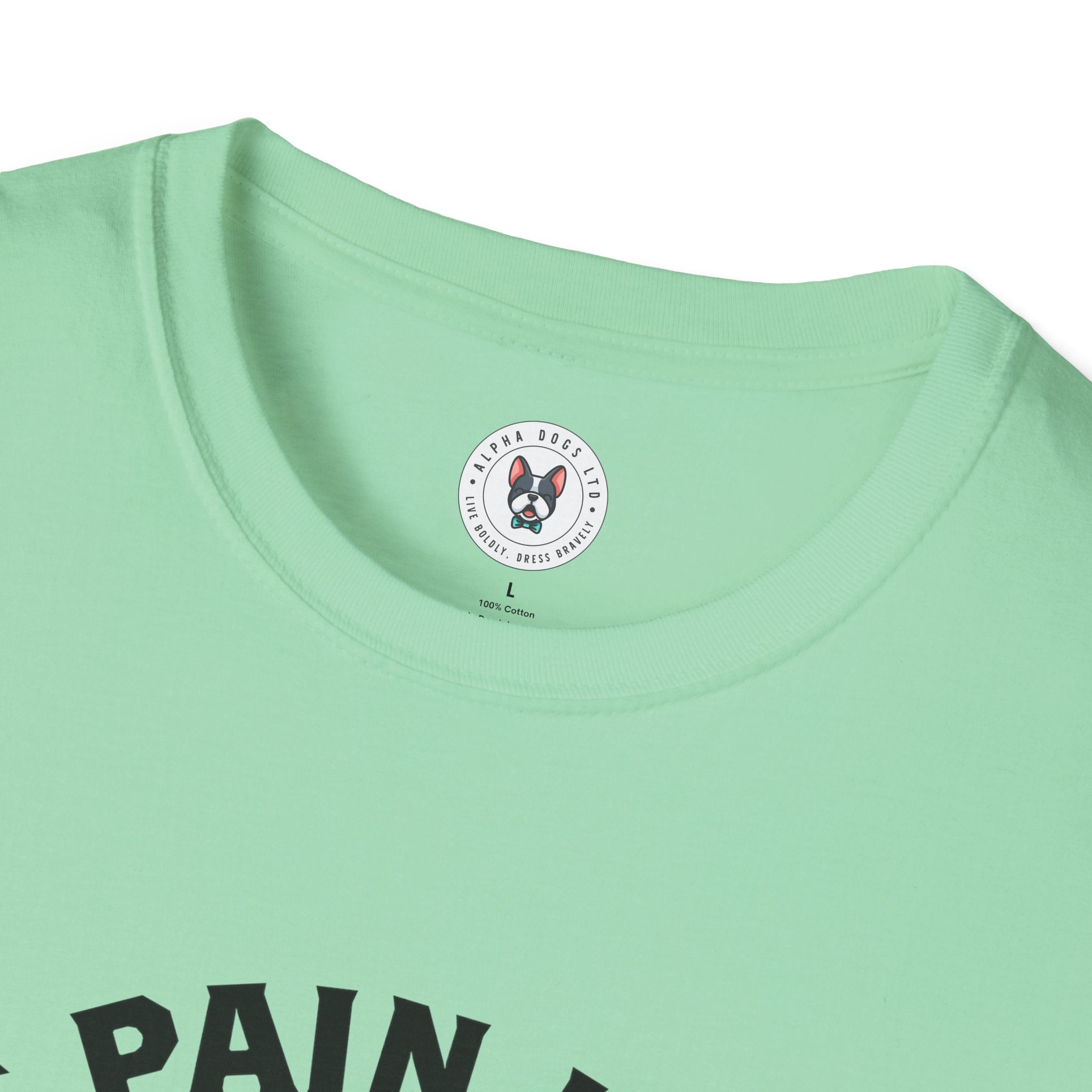 "Turn The Pain Into Power" Unisex Soft style T-Shirt