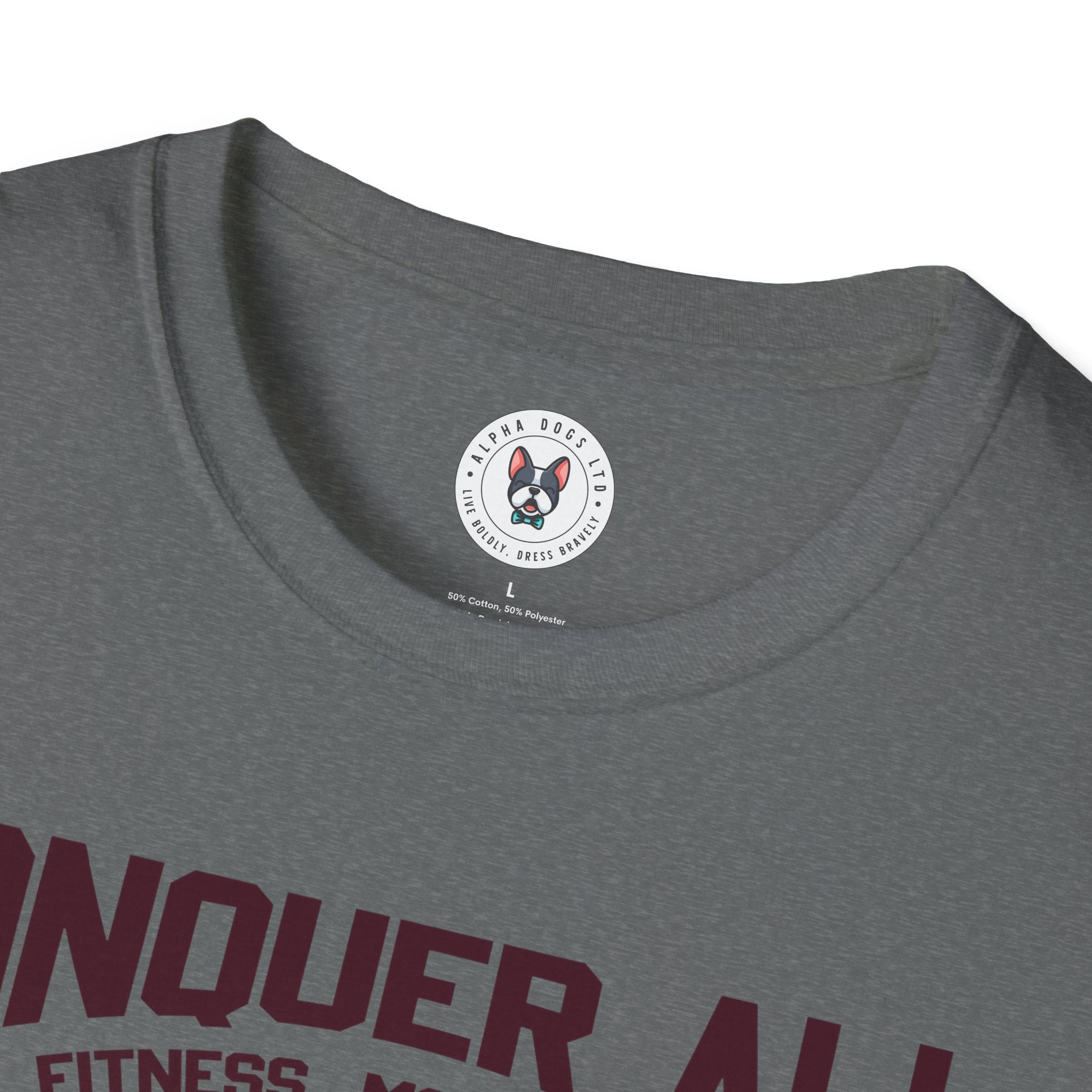 "Conquer All Be Stronger Everyday" Unisex Soft style T-Shirt